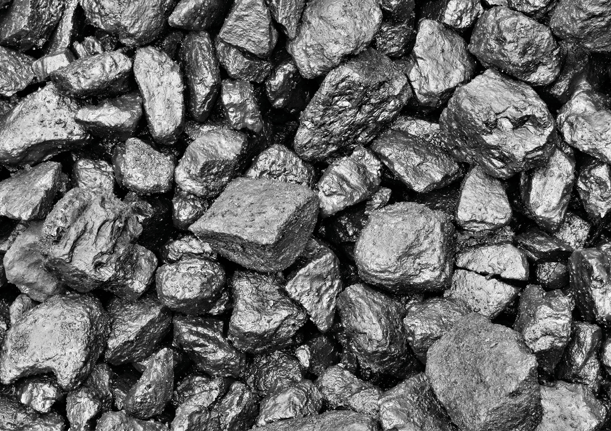 Steam coal fob (119) фото