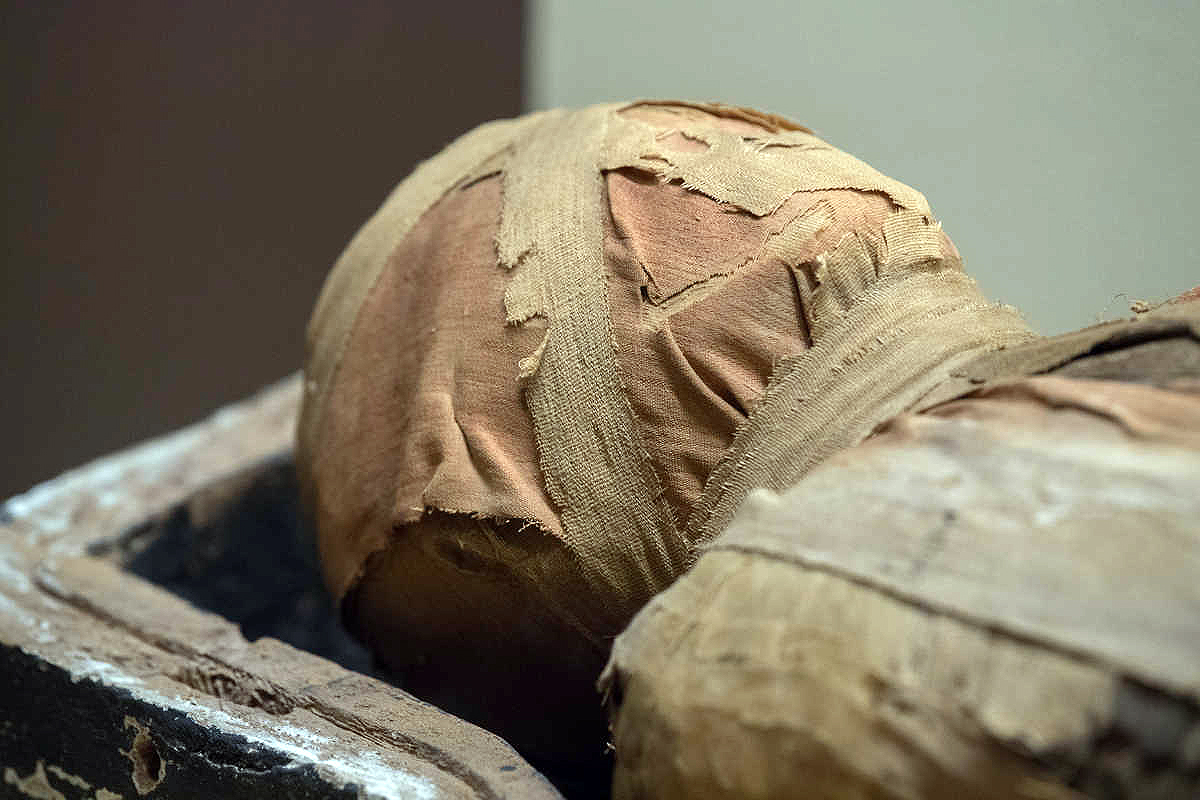 Мумия Тутанхамона в Эрмитаже