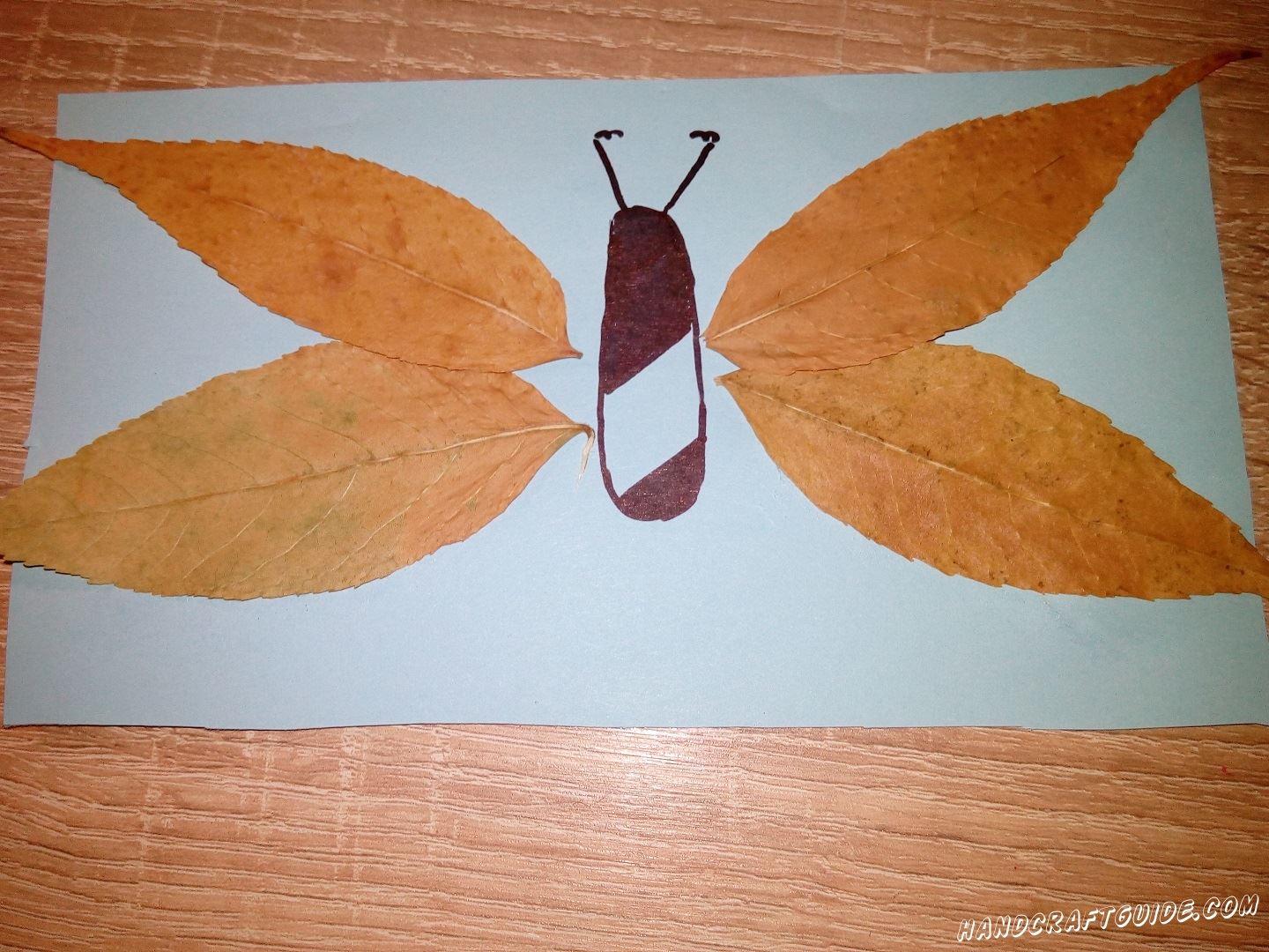 Бабочка из листьев аппликация