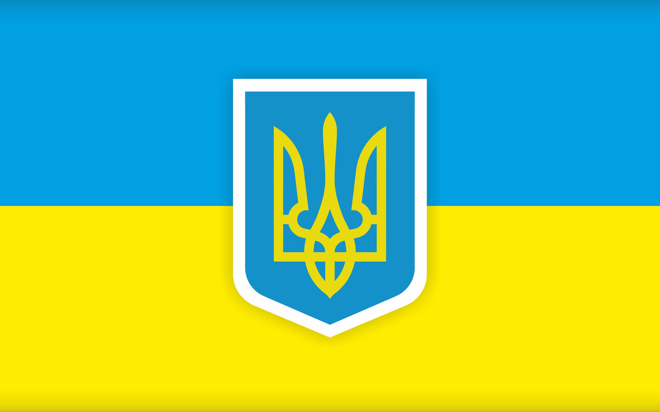 Украинский флаг с гербом