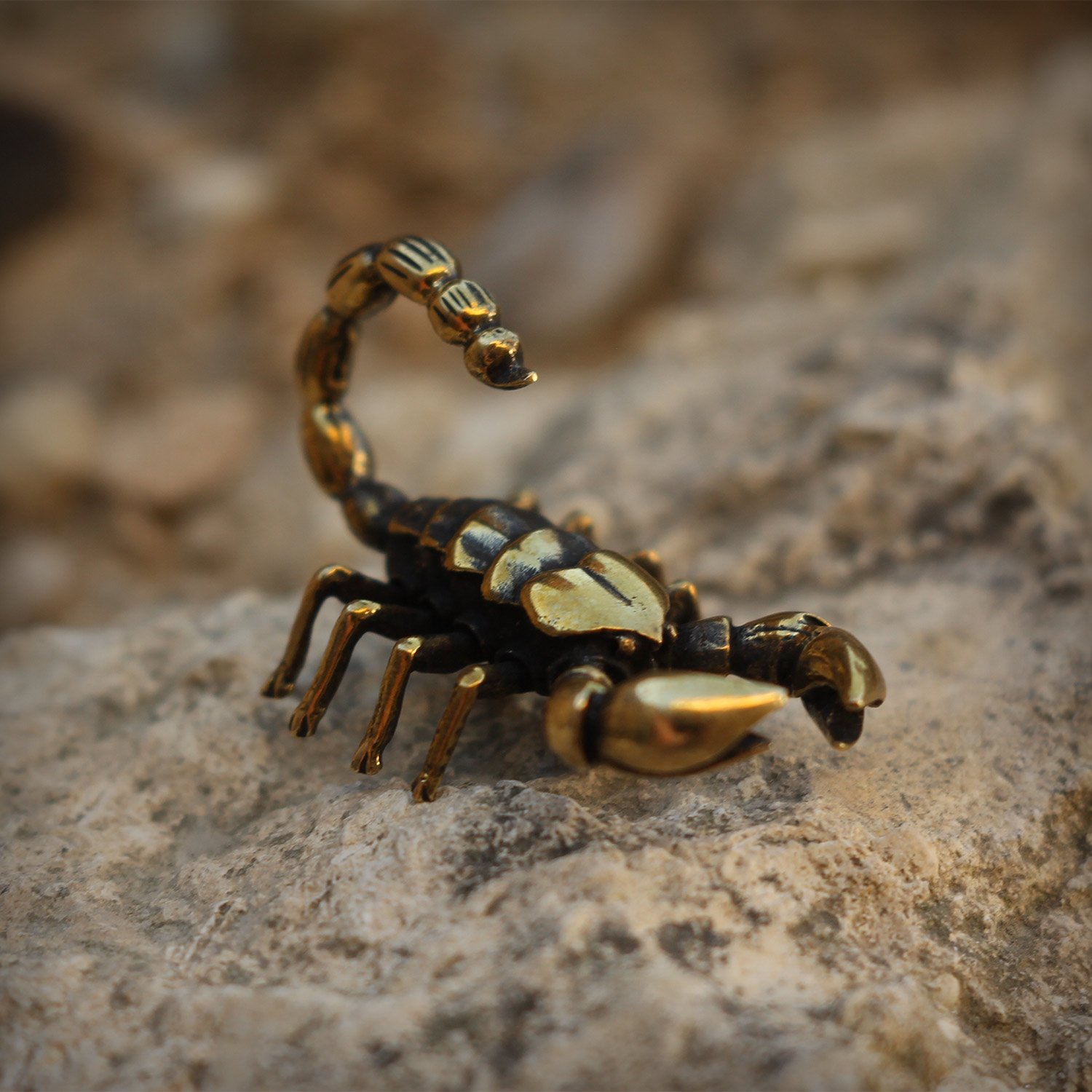 Маньчжурский золотой Скорпион