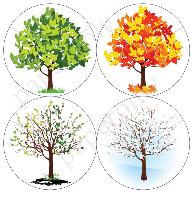 Дерево в разные времена года