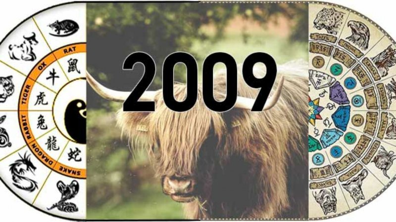 2021 Год скоро животного
