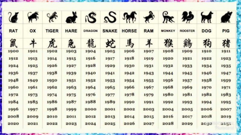 Китайский гороскоп 1989
