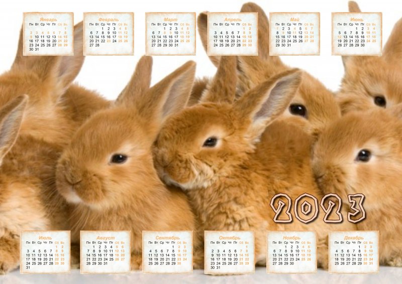 Календарь На 2023 Год По Гороскопу