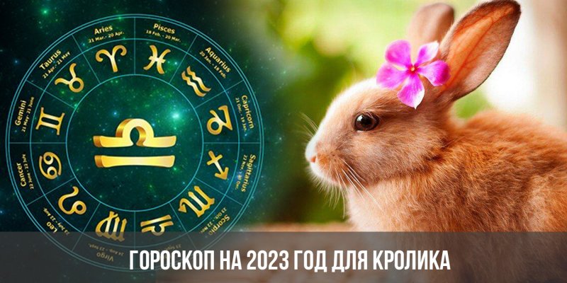2023 Год год кролика