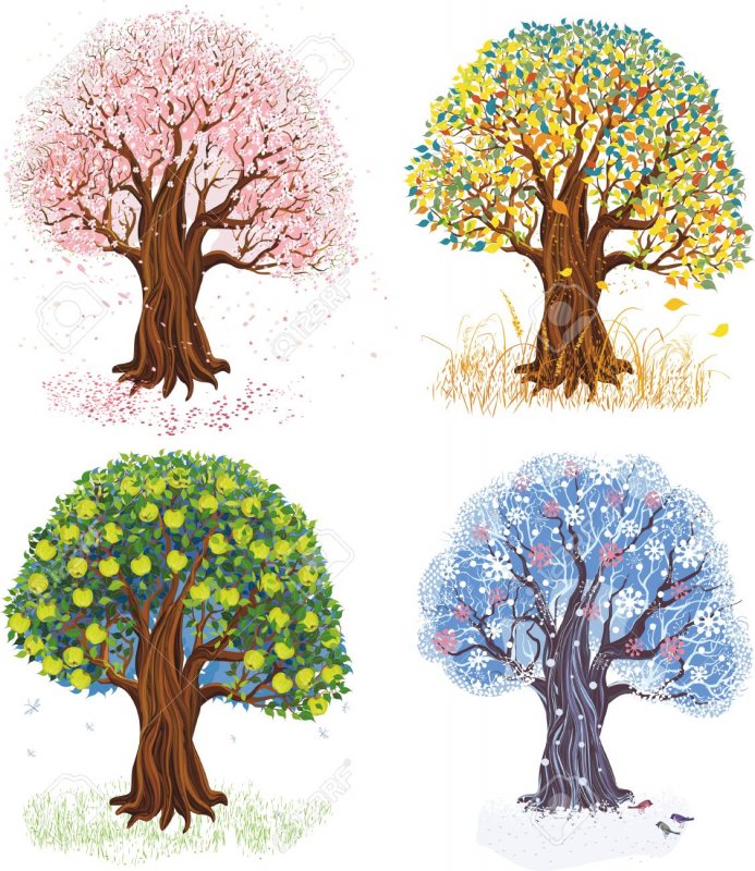 Дерево в разные сезоны