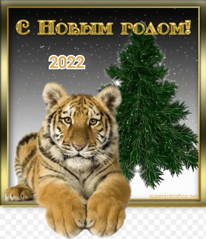 Открытка с новым годом тигра
