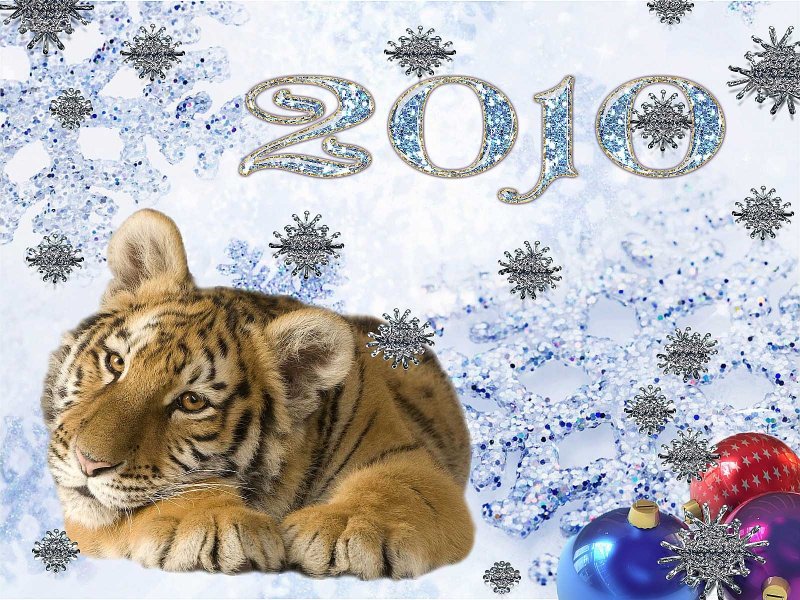 Год тигра 2010 год