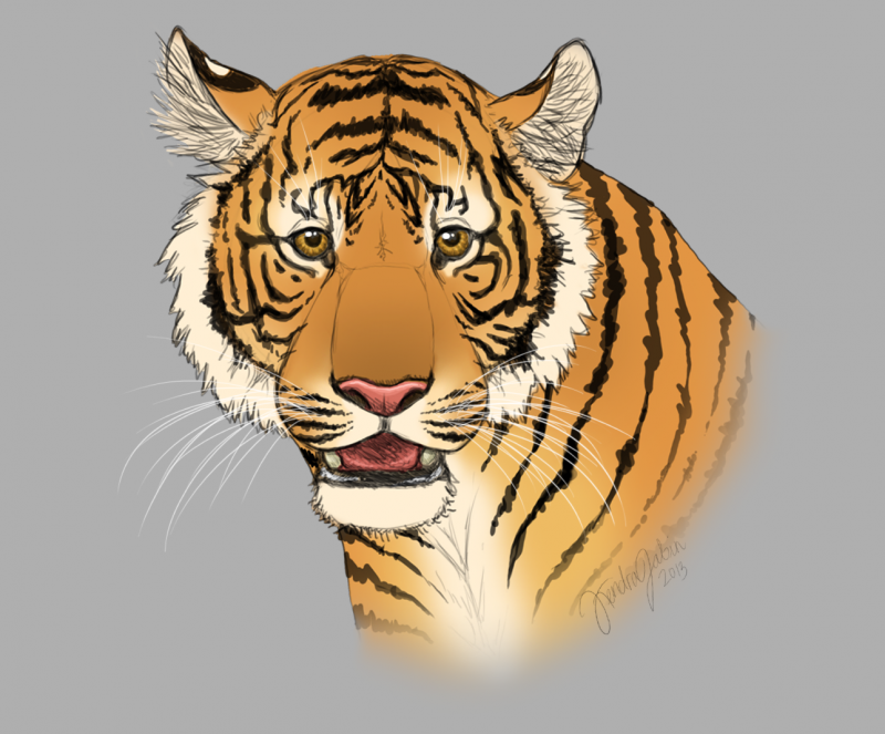 Голова тигра в профиль