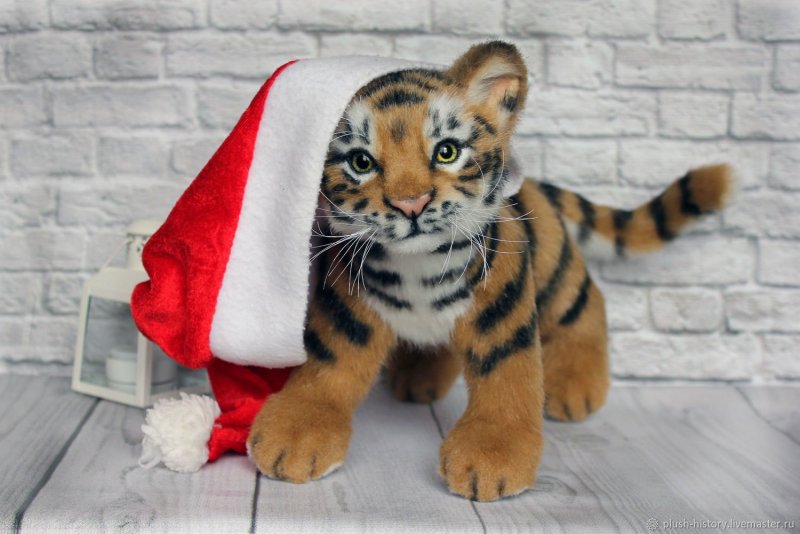 Тигр в новогоднем колпаке