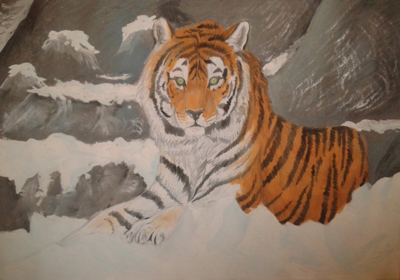 Нарисовать Амурский Уссурийский тигр