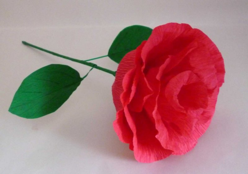 Гофрированная бумага розы