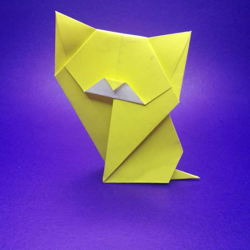 Модульное оригами из бумаги котик