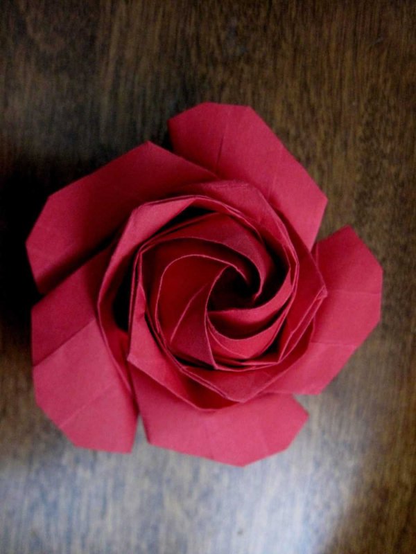 Объемные розы из цветной бумаги