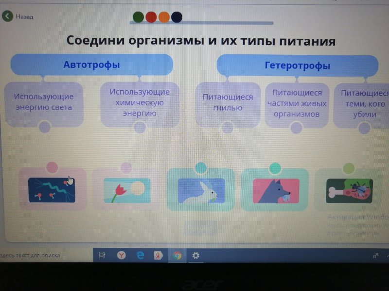Учи.ру задания по русскому языку