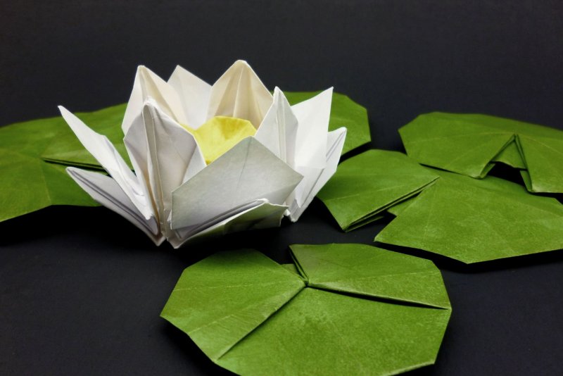Оригами Лилия кувшинка