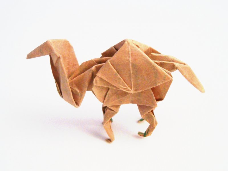 Оригами верблюд из бумаги