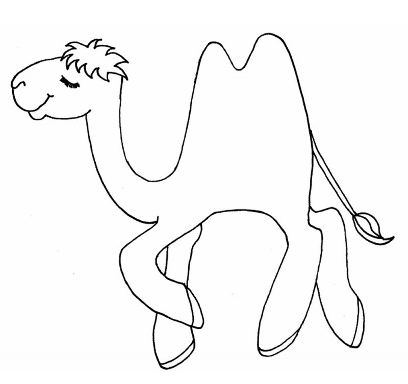 Трафарет верблюда для рисования