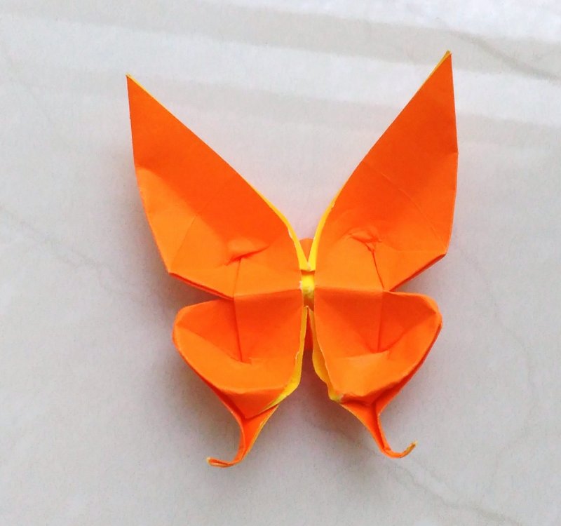 Бабочка из гармошки
