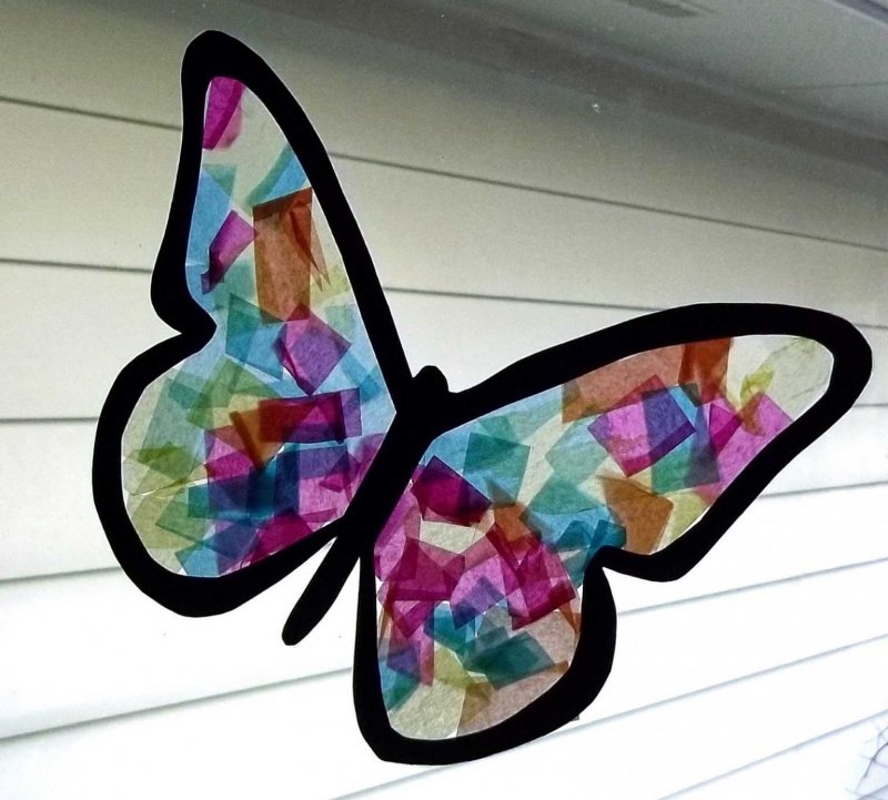 Инсталляция из бабочек