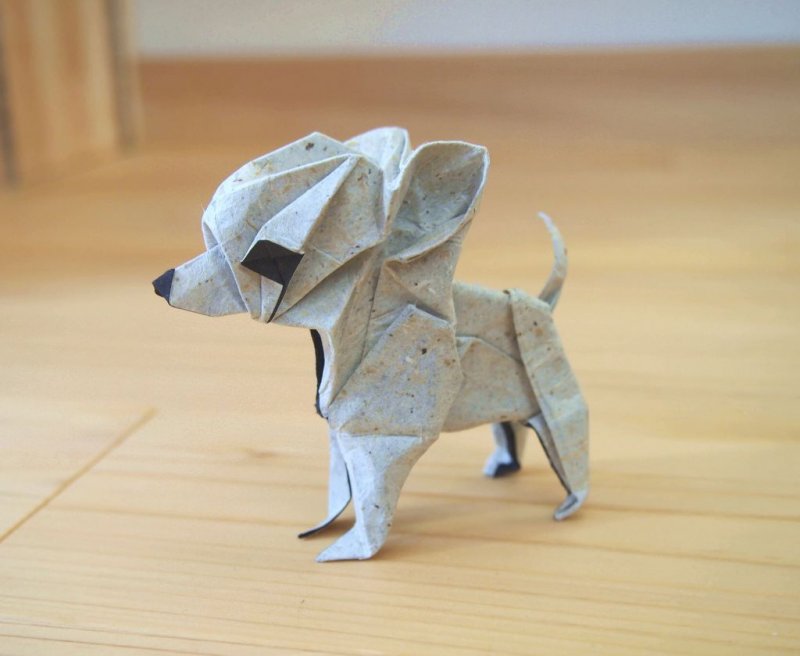 Оригами собака чихуахуа