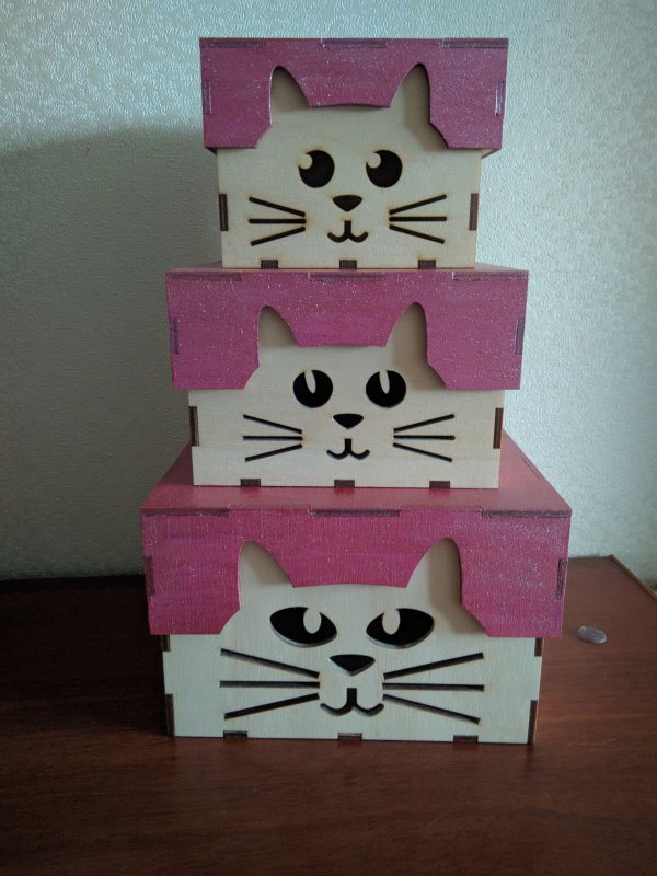 Коробка с котятами