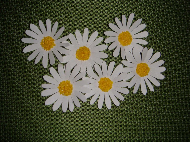 Поделки в сад на тему белый цветок