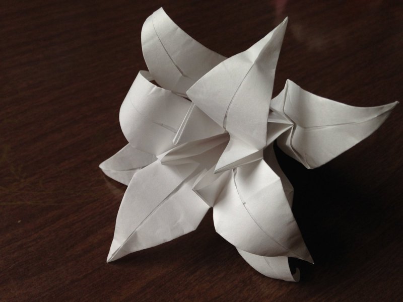 Оригами модули лебедь