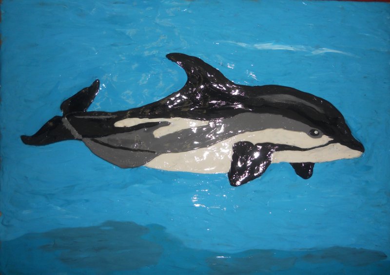 Атлантический белобокий Дельфин рисунок