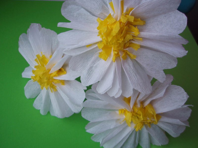 Цветы из бумажной гармошки