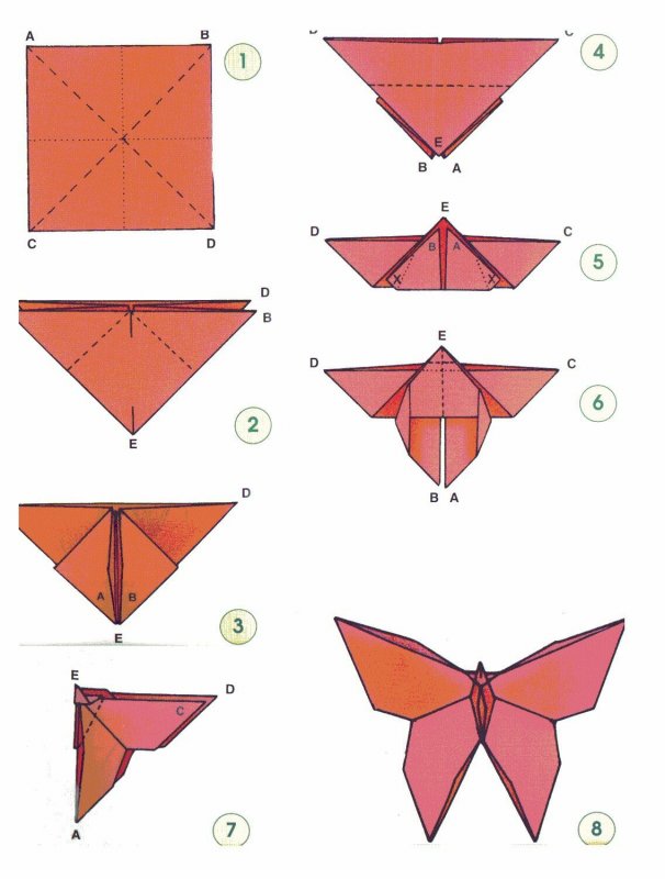Оригами бабочка пошаговая инструкция для детей