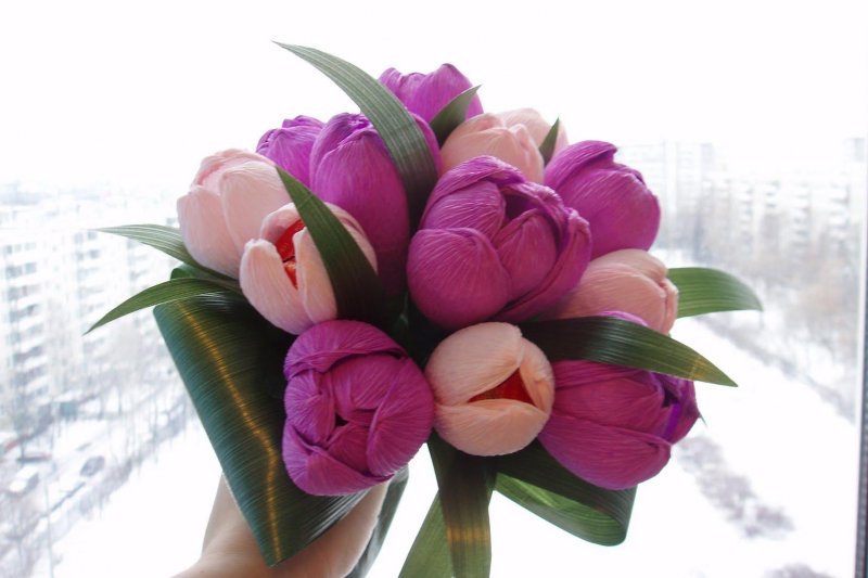 Тюльпаны из гофробумаги