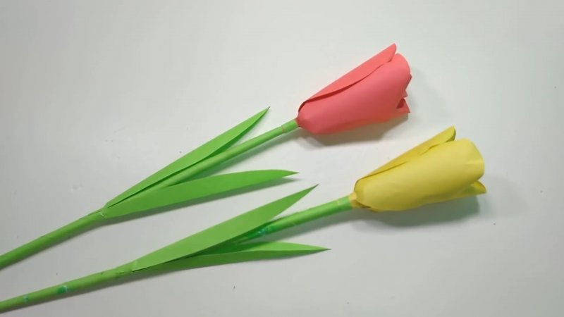 Тюльпаны из цветной бумаги