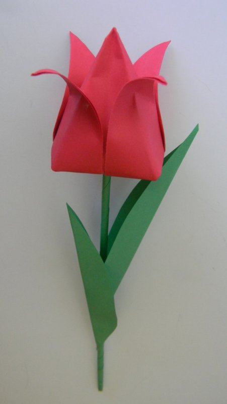 Тюльпан оригами чашелистик