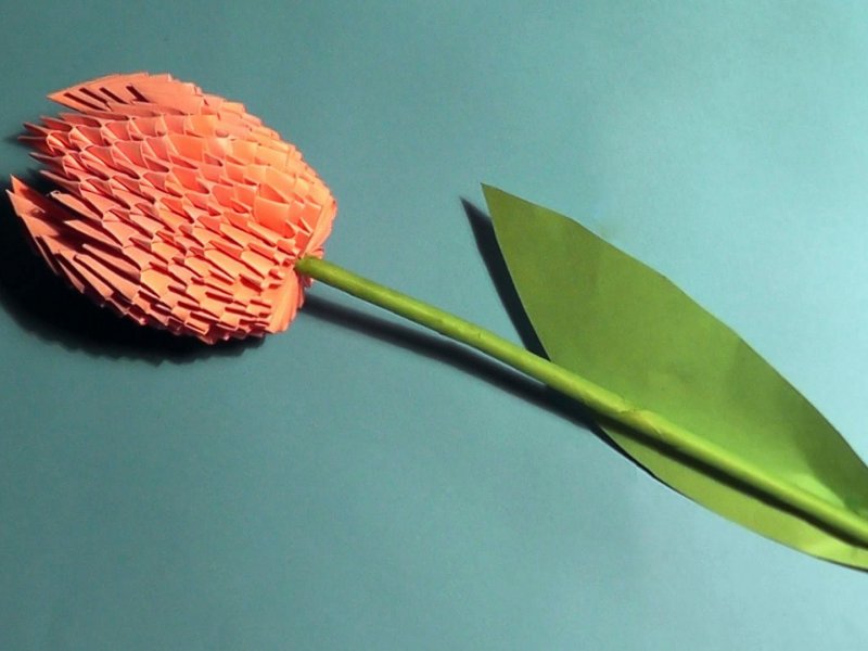Модульное оригами тюльпан