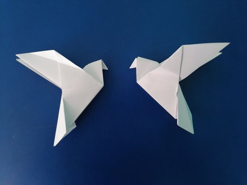 Оригами голубь из бумаги