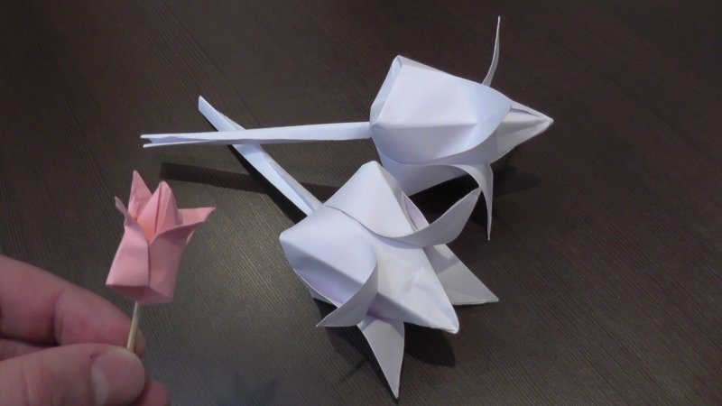 Оригами белый цветок из бумаги
