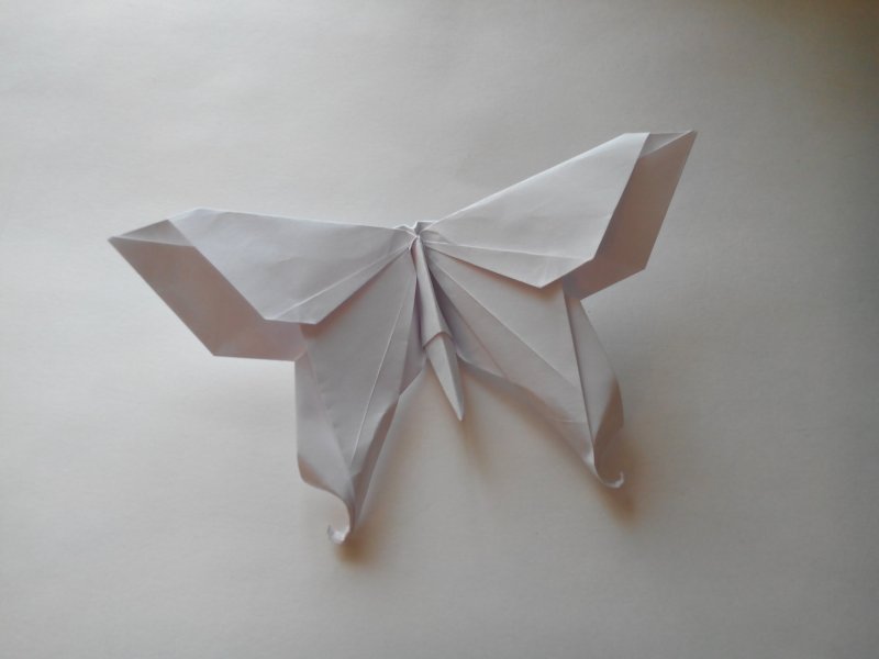 Оригами бабочки из бумаги своими руками