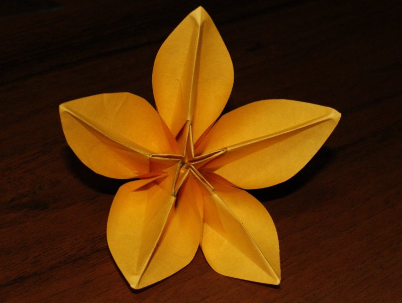 Оригами карамбола