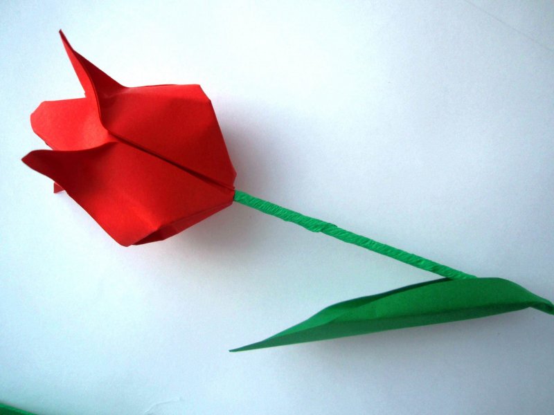 Оригами тюльпан из бумаги