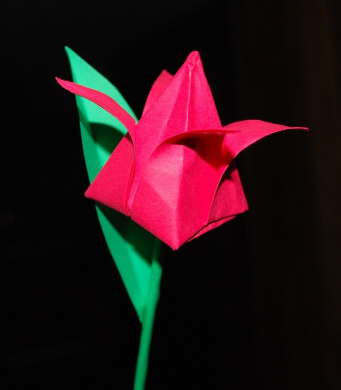 Как сделать тюльпан из цветной бумаги