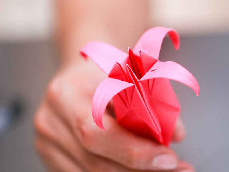 Четырехлепестковая Лилия оригами
