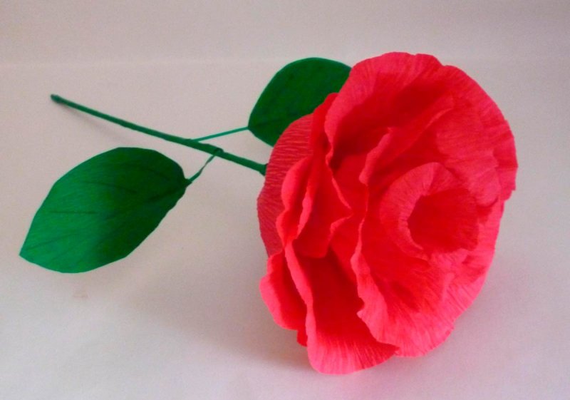 Гофрированная бумага розы