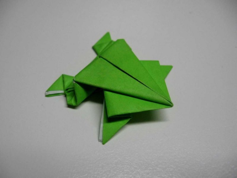 Древесная лягушка оригами сатоши Камия