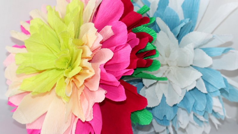 Объемные цветы из гофрированной бумаги