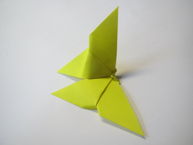 Оригами бабочка для дошкольников