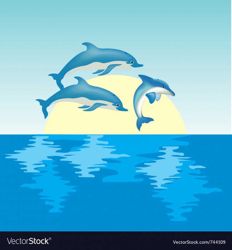Дельфин рисунок
