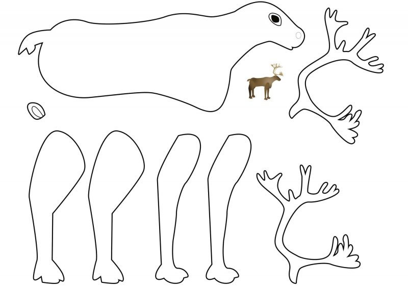 Рисование жирафа в средней группе
