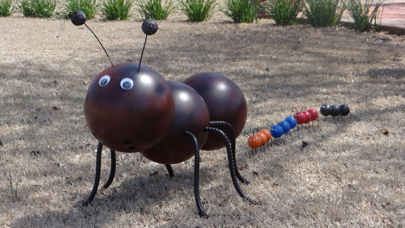 Рисование муравья